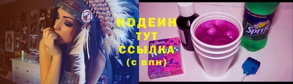 шишки Ельня
