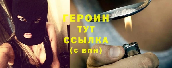 шишки Ельня
