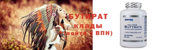 шишки Ельня