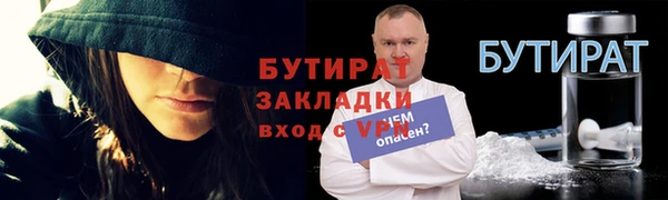 шишки Ельня