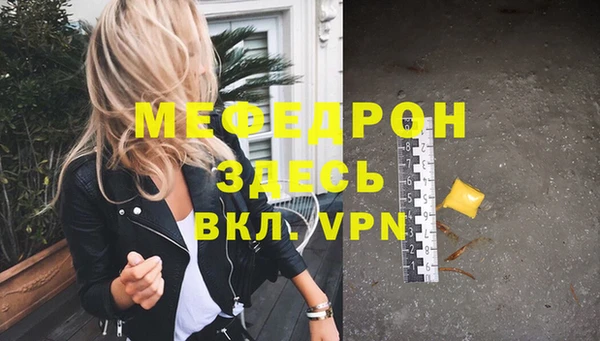 шишки Ельня