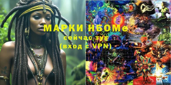 шишки Ельня
