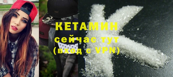 шишки Ельня