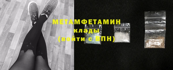 шишки Ельня