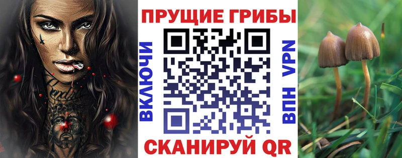 Псилоцибиновые грибы ЛСД  Купить закладки  Зеленодольск 